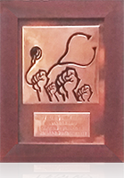 GNU Health - Individual Award 2017 - Lorena Enebral